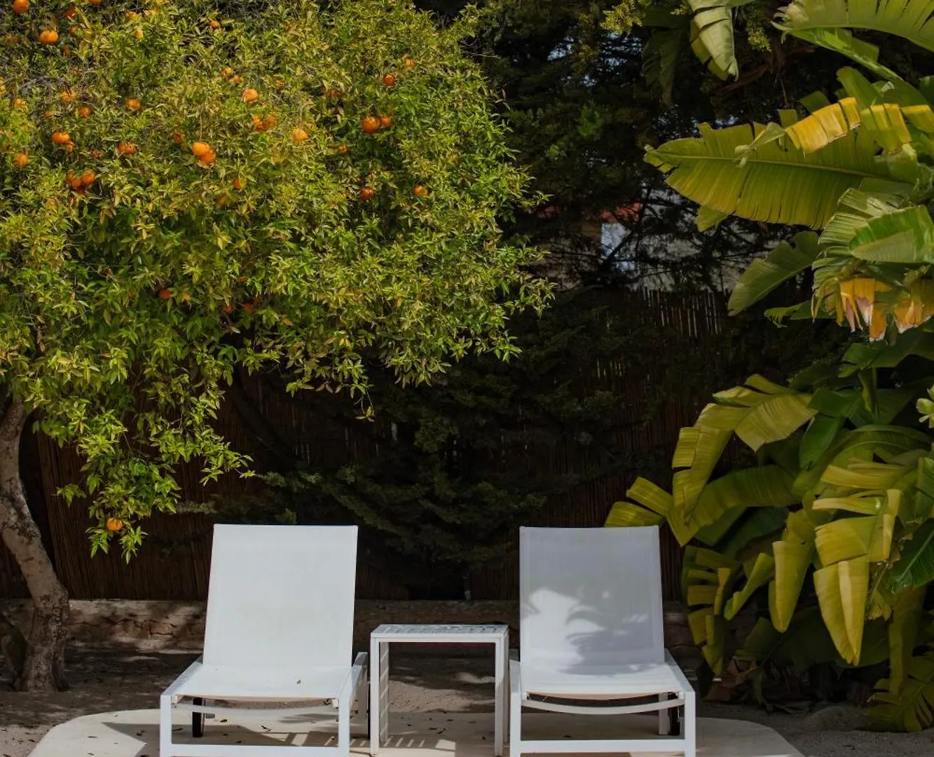 Hotel Can Jaume By Ocean Drive Puig D'en Valls Spanje