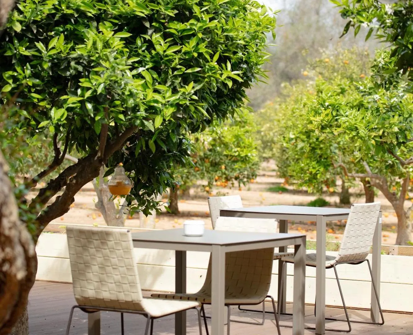 Hotel Can Jaume By Ocean Drive Puig D'en Valls Spain