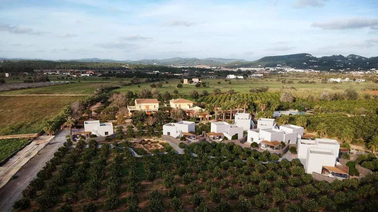 Can Jaume By Ocean Drive Puig D'en Valls Hotel