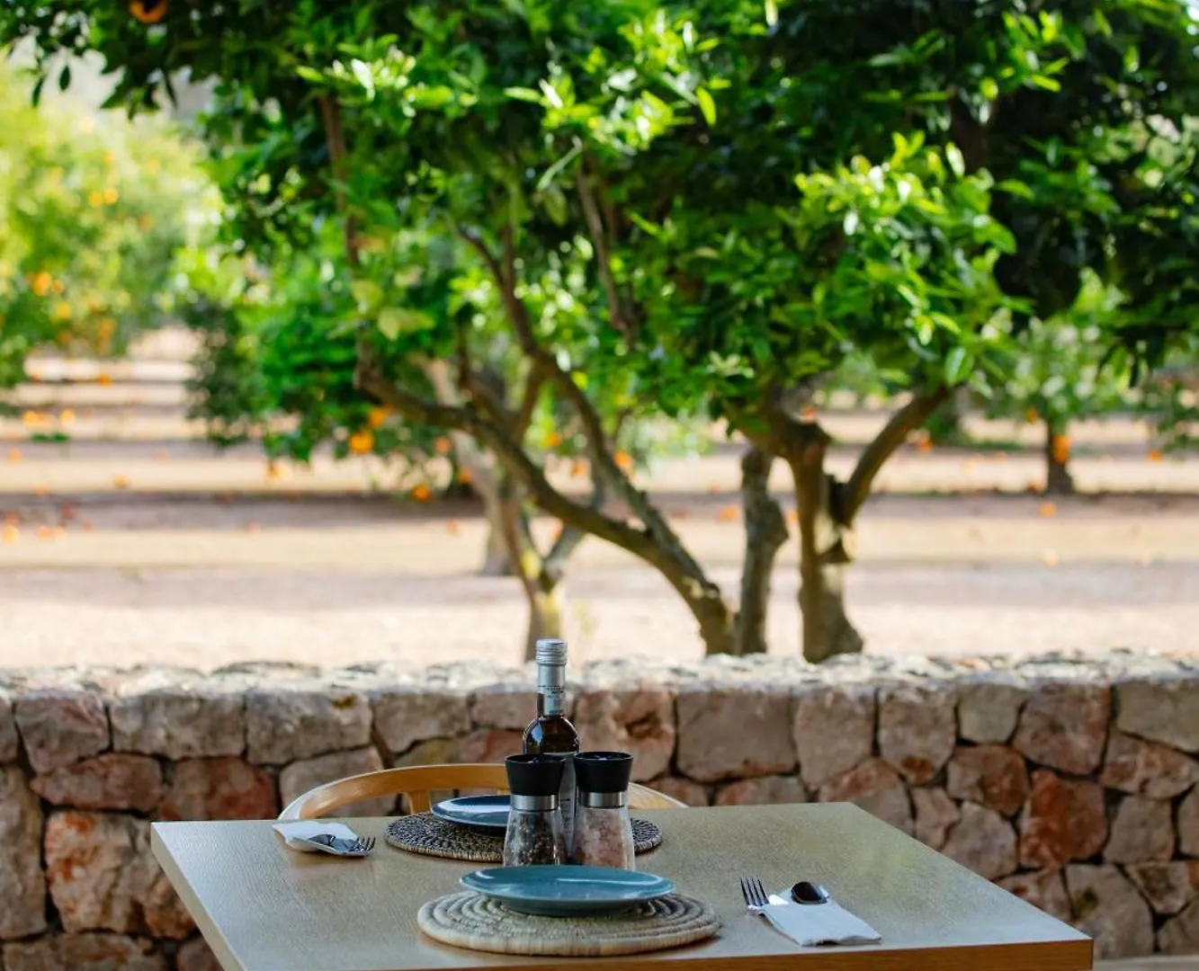Can Jaume By Ocean Drive Puig D'en Valls Hotel